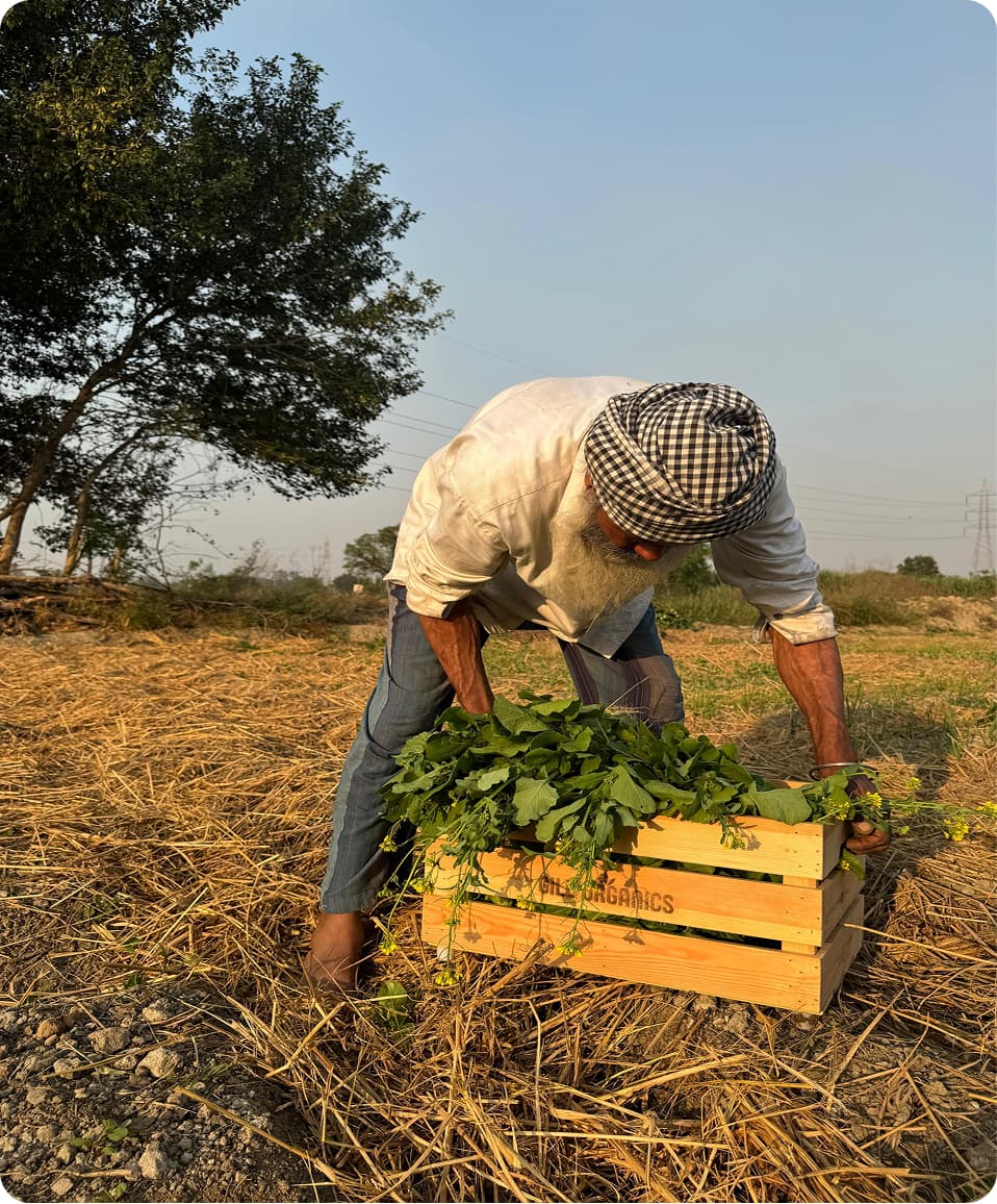 Farm moment 5
