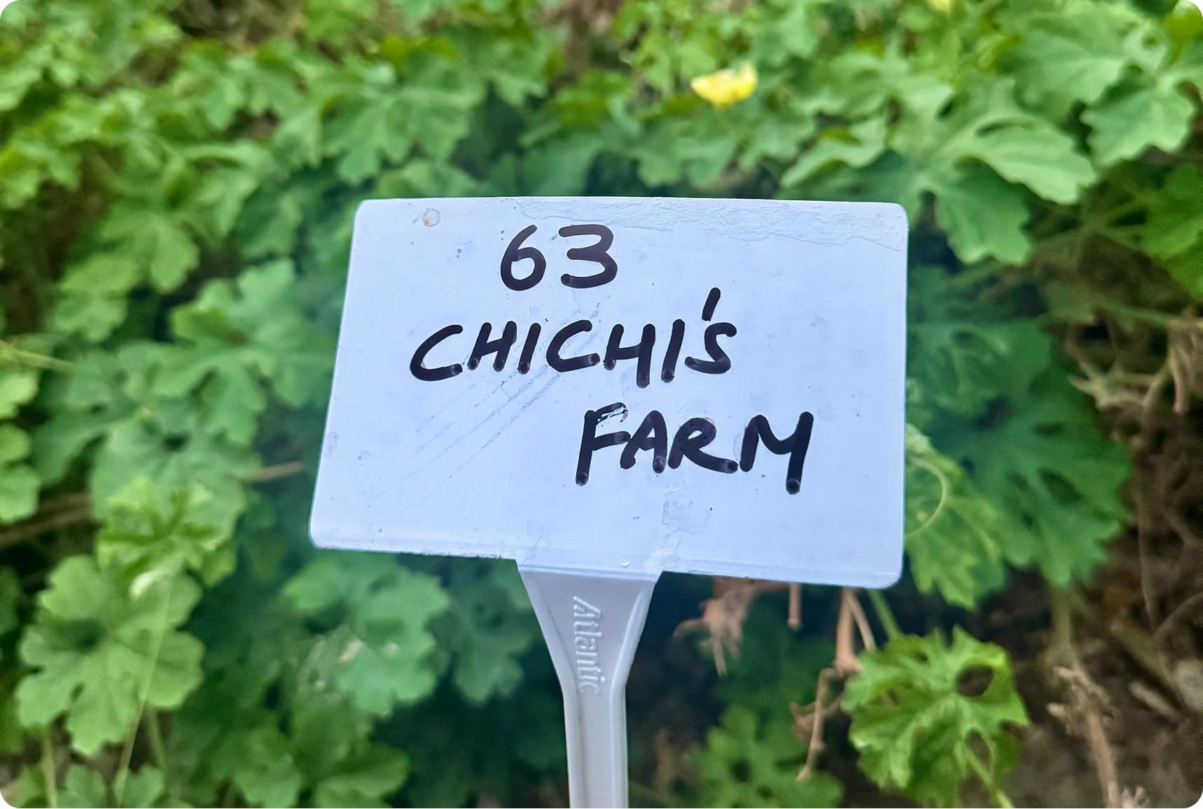 Farm moment 6